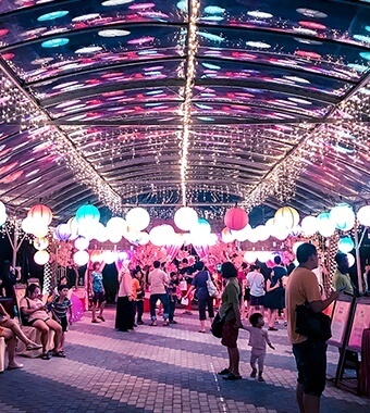 Carpas Estructurales